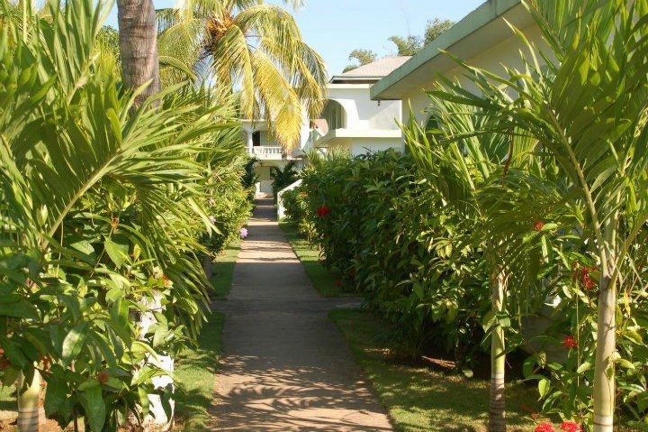 Hidden Paradise Resort Hotel Negril Extérieur photo