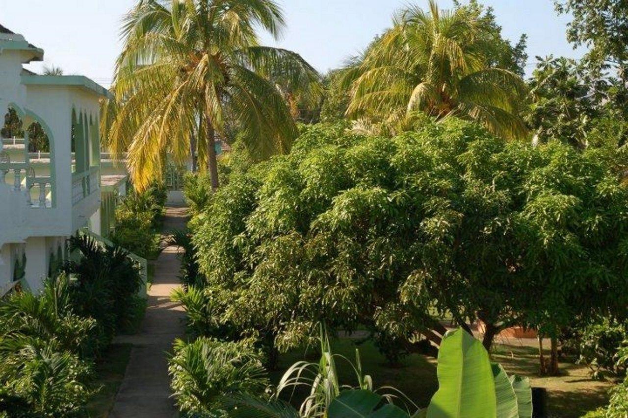 Hidden Paradise Resort Hotel Negril Extérieur photo
